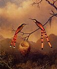Martin Johnson Heade Two Hummingbirds with Their Young painting